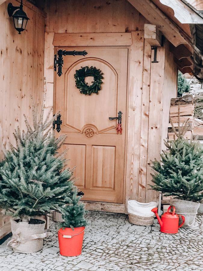 Фото  Domki w Białce 